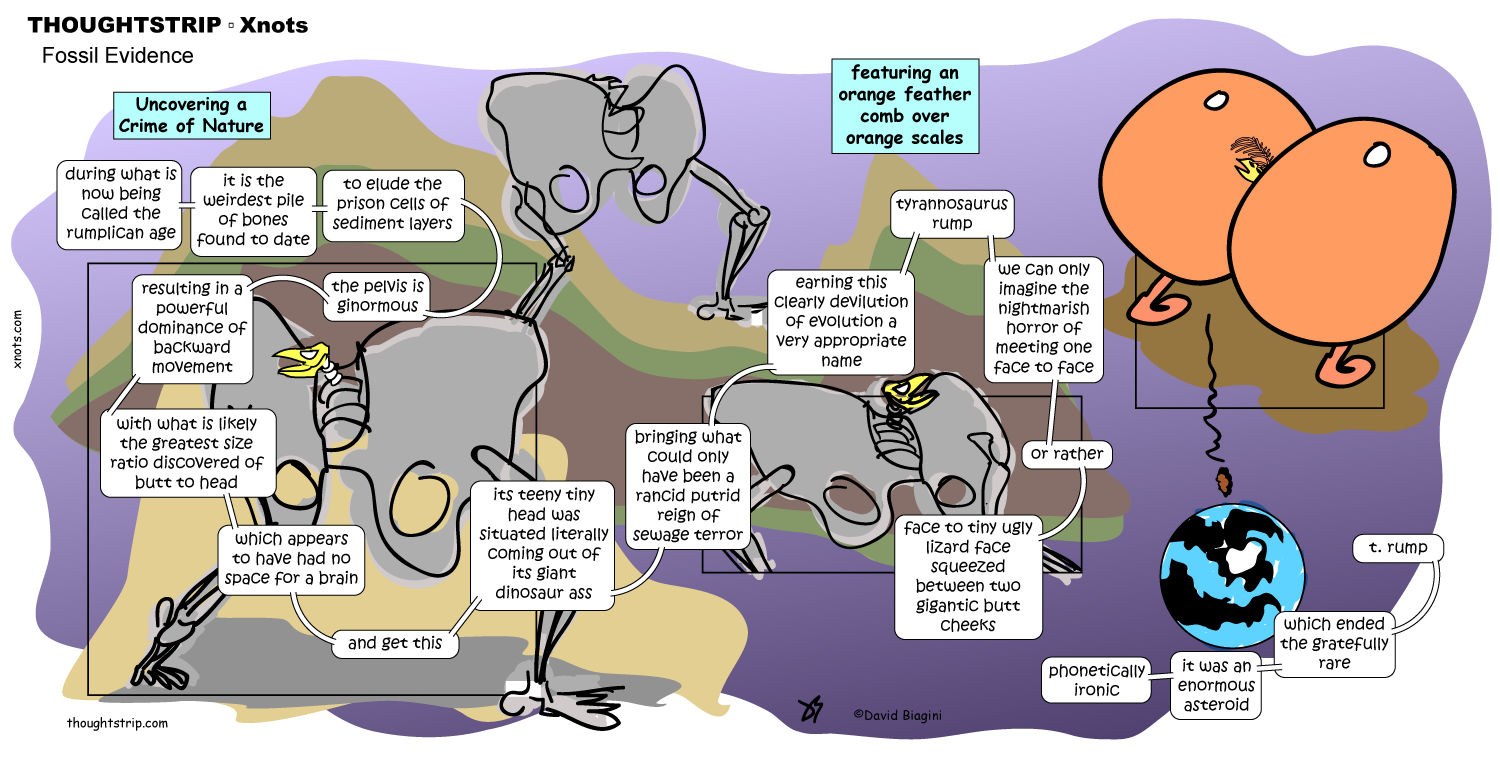 Thoughtstrip ~ Xnots